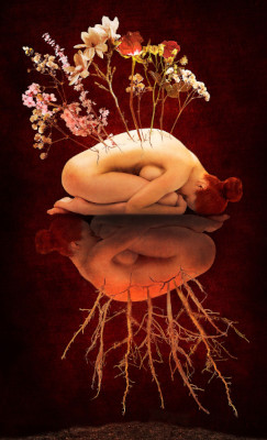 A woman is curled in a fetal position against a red background, sprouting flowers above she is reflected with withered roots below, symbolizing growth and connection to nature.